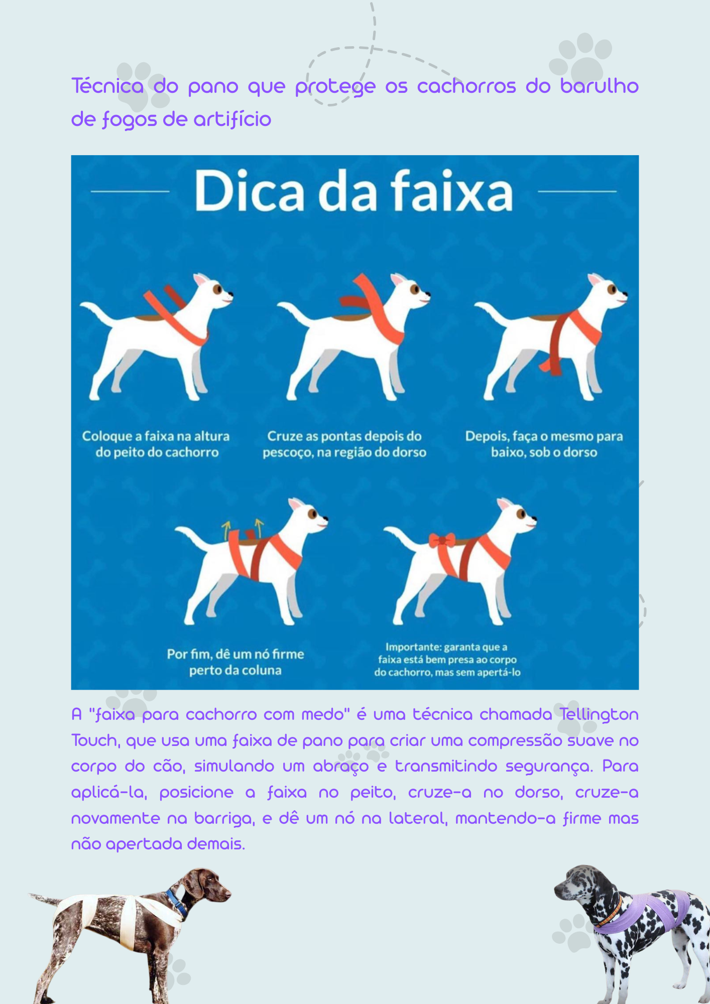 dica de faixa